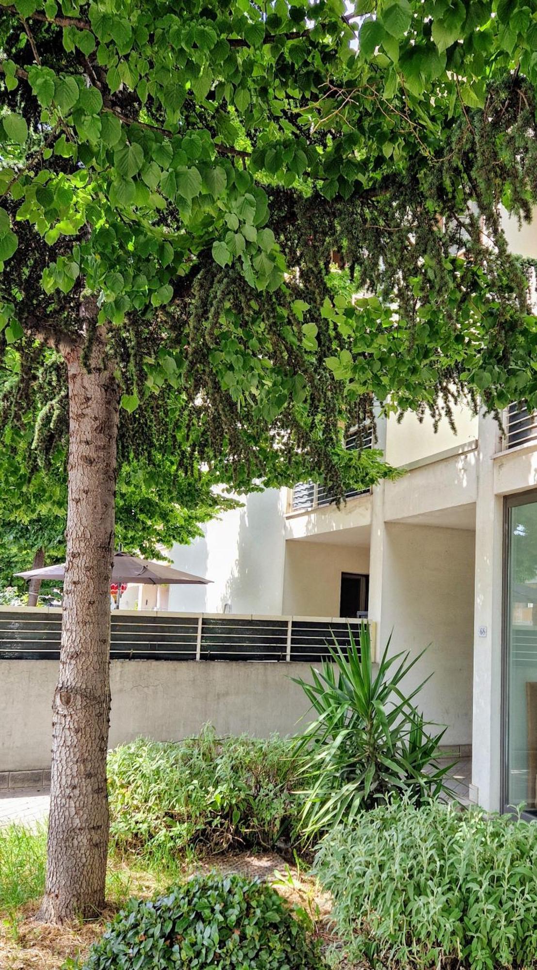 Apartamento Dolcenido Meyer Firenze Exterior foto